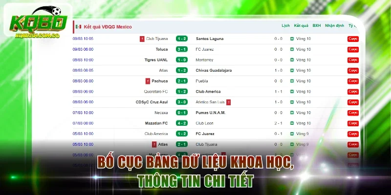 Bố cục bảng dữ liệu khoa học, thông tin chi tiết